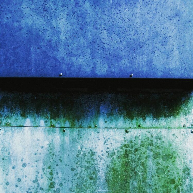 Samuel Smoky Purple、最新作「Garden of Flowers EP」をTREKKIE TRAXよりリリース