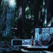 アンビエントとかけて日光と解く、その心は。「AMBIENT NIKKO」主催・Wac-Loungeさんインタビュー